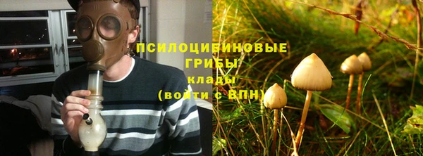 прущий лед Алексин
